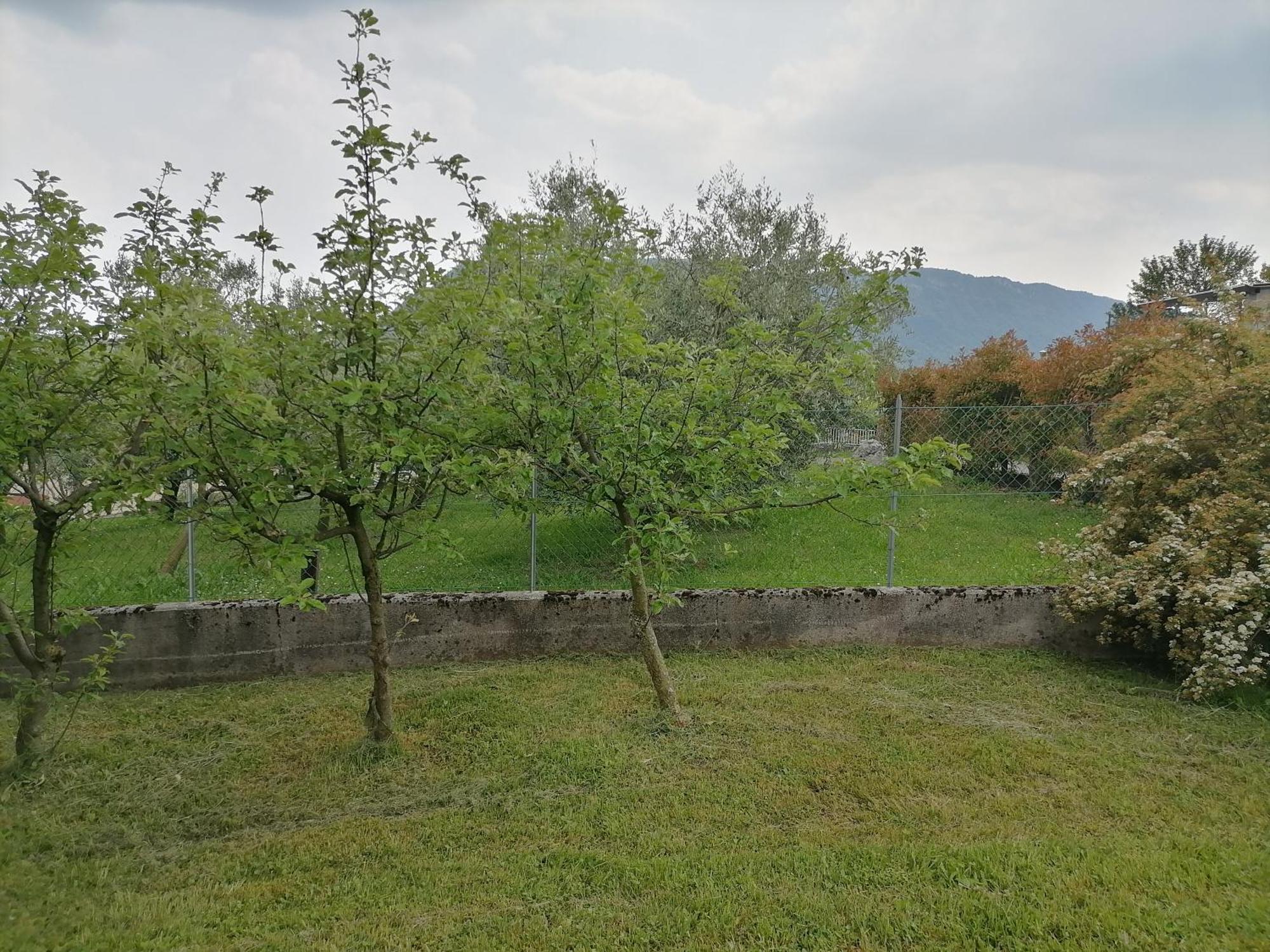 Albergo Diffuso Forgaria Monte Prat Forgaria nel Friuli Esterno foto